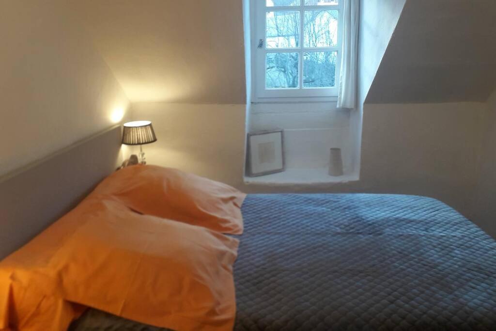 Magnifique Maison De Maitre Du 18E Avec Jardin Luz-Saint-Sauveur Buitenkant foto