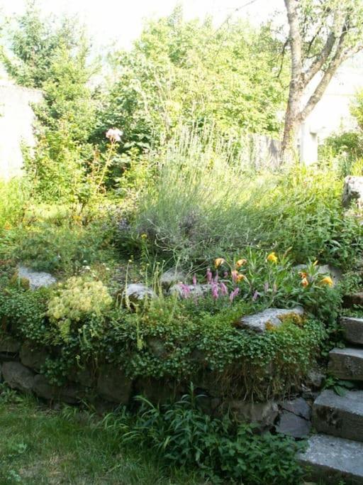 Magnifique Maison De Maitre Du 18E Avec Jardin Luz-Saint-Sauveur Buitenkant foto